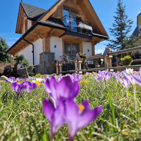 Apartamenty Benita Закопане Екстериор снимка